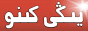 زىلنار تورى