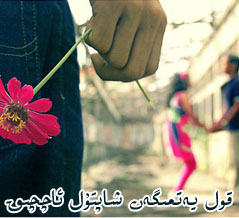 قول يەتمىگەن شاپتۇل ئاچچىق