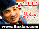 شاپائەتچى جىگوڭ
