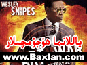 ياللانما ھۇجۇمچىلار