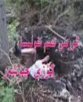  ئورىنى كىم كولىسا ئۆزى چۈشەر