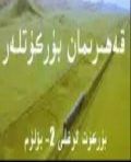 قەھرىمان بۈركۈتلەر 