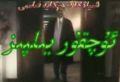  ئۇچقۇر يىلپىز