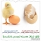 تەرمىلەر