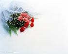 u=1231153909,2519196776&fm=0&gp=0.jpg