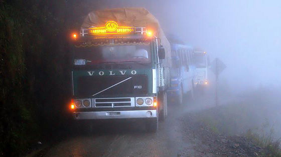 122129091_7461n.jpg