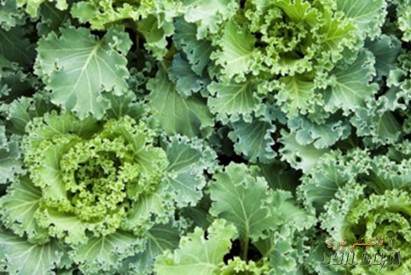 20110313062840801.jpg