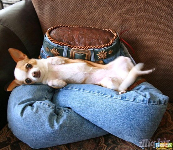 20120528050614911.jpg