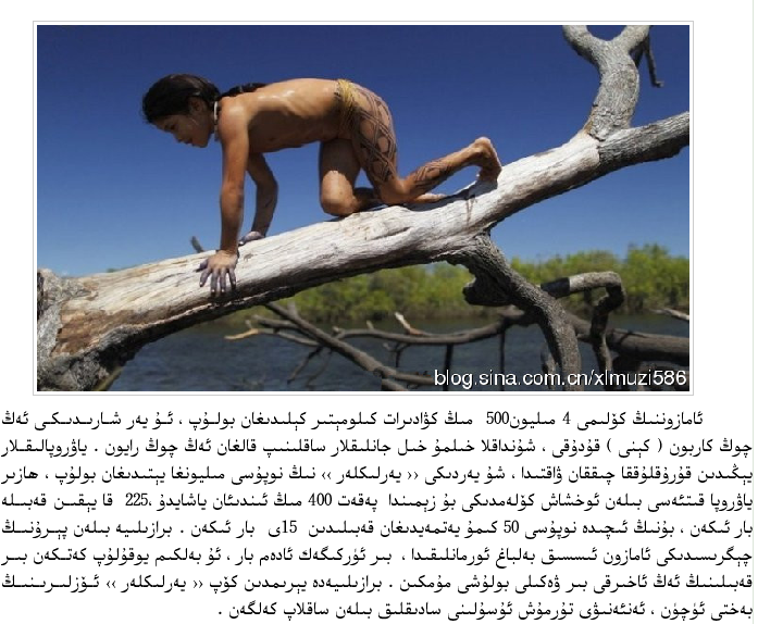 132428peti0yxhhyy4ehit.png