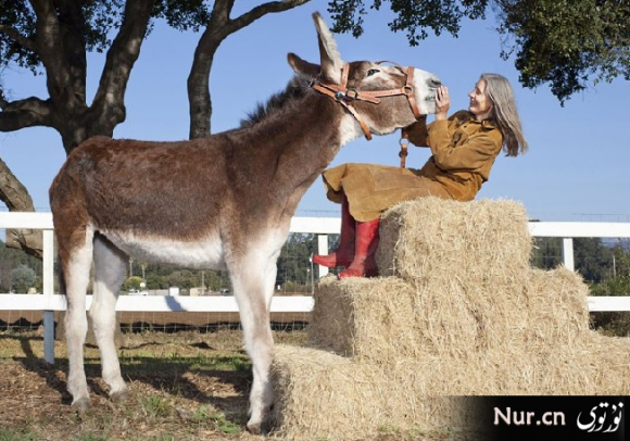 thumb_580__20121004101334133 (1).png