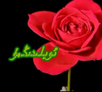 ئويلىدىڭمۇ