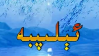 ئىلىببە ئۈگىتىش دەرسى