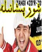 شور پىشانىلەر