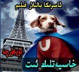  خاسىيەتلىك ئىت