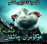  ھۆكۇمران چاشقان