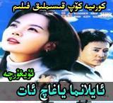 ئايلانما ياغاچ ئات