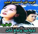 ئايلانما ياغاچ ئات1-28