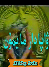 ۋاپادار مايمۇن