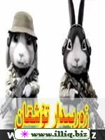 زەربىدار تۇشقان
