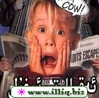 ئەقىللىق ئوغۇل