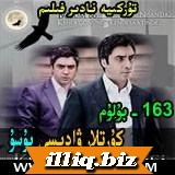 163 كۇرتلار ۋادىسى پۇسۇ
