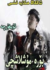 بۆرە مۇشلاشچى