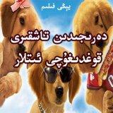 دەرىجىدىن تاشقىرى قوغدىغۇچى ئىتلار