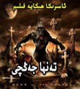 تەنھا جەڭچى
