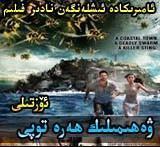 ۋەھىمىلىك ھەرە توپى