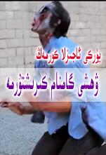 دەششەت كىرىشتۈرمە