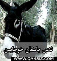 نەس باسقان خوجايىن