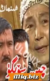 چىن سۆيگۈ