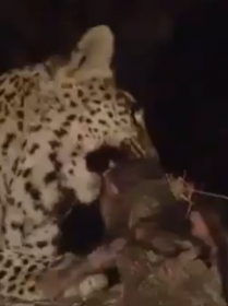 دۇنيامىقياسىنى ھەيران قالدۇغان فىلىم
