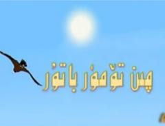چىن تۆمۈر باتۇر، كارتون فېلىم