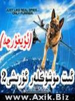  ئىت مۇشۇكلەر ئۇرۇشى