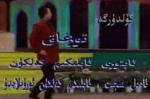 توزغاق