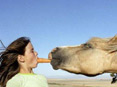 كۈلۈشمەك ھايۋانلار200