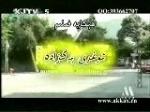 ئوغرى بەگزادە