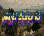 ئىت مۈشۈك ئۇرۇشى