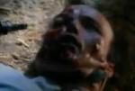 سىرلىق ئورماندىكى گۆشخورلار 