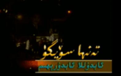 تەنھا سۆيگۈ 
