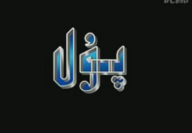 پۇل 