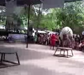 كۈلۈشمەك ھايۋانلار82