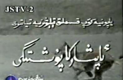 ئاپشاركا پۇشتىگى
