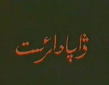 ۋاپادار ئىت