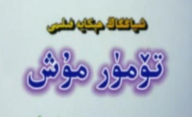 تۈمۈر مۇش