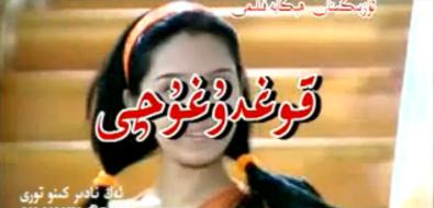 قوغدۇغۇچى