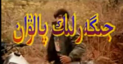 جىگەرلىك پالۋان
