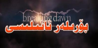 بۆرىلەر ئائىلىسى