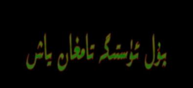 پۇل ئۈستىگە تامغان ياش